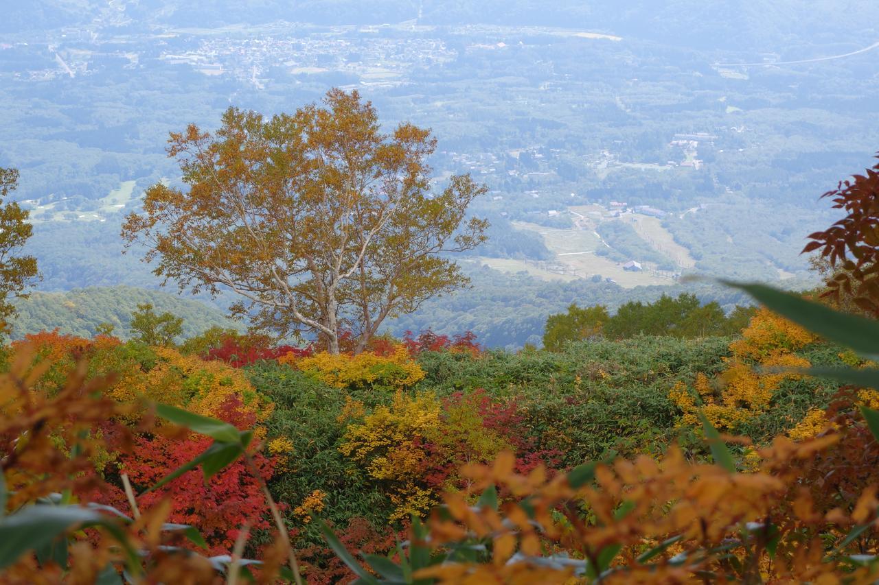 Schole Hakuba Ξενοδοχείο Εξωτερικό φωτογραφία