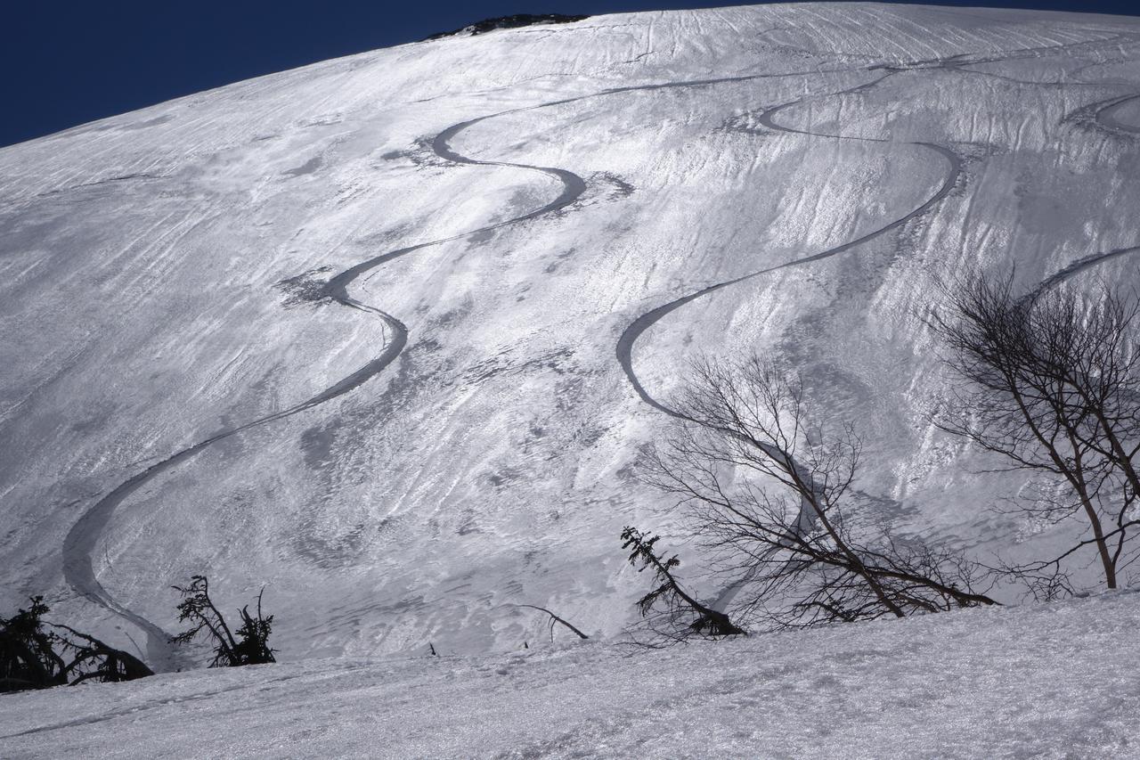 Schole Hakuba Ξενοδοχείο Εξωτερικό φωτογραφία